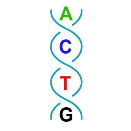 Bioinformatics, RNAseq, ChIPseq, Artificial intelligence, analysis, genetics, consultancy, Montreal, Beirut, Gulf region, Turkey, education counseling, research counseling, bioinformatics, smart solution, equipment support, immigration, university admission, scholarship, equipment repair